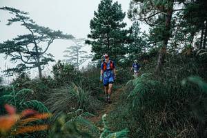 BIB: 
                            <button type="button" onclick="openModal(25260741)" class="btn btn-primary btn-sm float-right btn-popup" data-toggle="modal" data-target=".modal-high-quality">
                        <i class="fas fa-shopping-cart"></i> Add to Cart
                    </button>
                                            <button type="button" onclick="isThisMe(25260741, true)" class="btn btn-success btn-sm float-right btn-popup btn-isme hidden" data-toggle="tooltip" data-placement="bottom" title="นี่คือรูปของคุณใช่ไหม คลิกที่นี่เพื่อเอาเข้าอัลบั้ม">
                        <i class="fas fa-plus"></i> Add to album
                    </button>
                    <button type="button" onclick="isThisMe(25260741, false)" class="btn btn-warning btn-sm float-right btn-popup btn-isnotme hidden">
                        <i class="fas fa-ban"></i> Remove from album
                    </button>